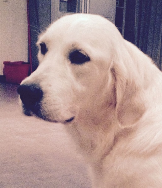 Just a sugar baby love dit pixel Des vives